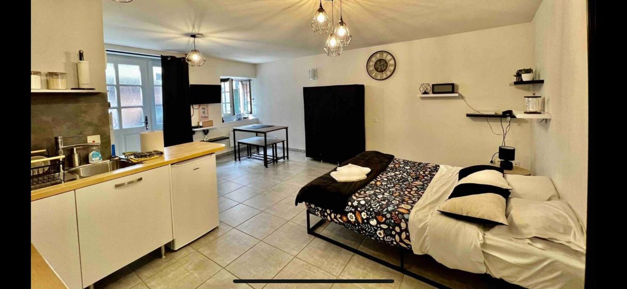 Nid Douillet - Elegant En Plein Centre De Apartment Riom